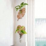 Stylish MDF wood planter – brown decorative single piece