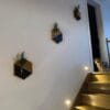 Stylish wall planters for home and office walls