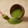Organic moringa powder in a bowl – natural herbal superfood