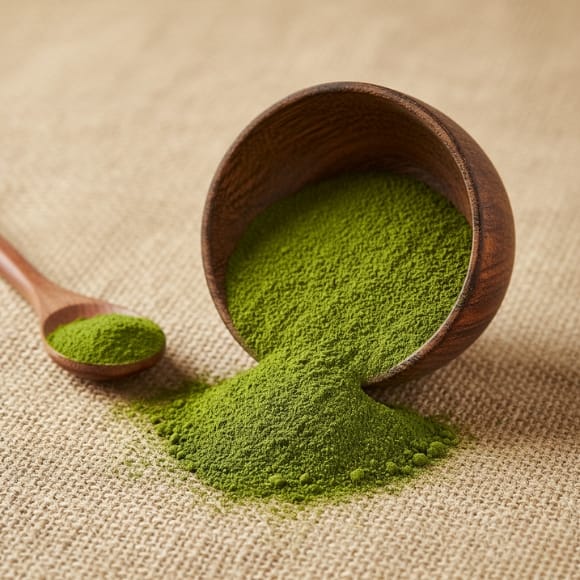 Organic moringa powder in a bowl – natural herbal superfood